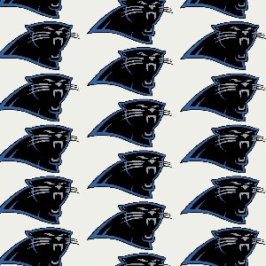 NFL License Carolina Panthers